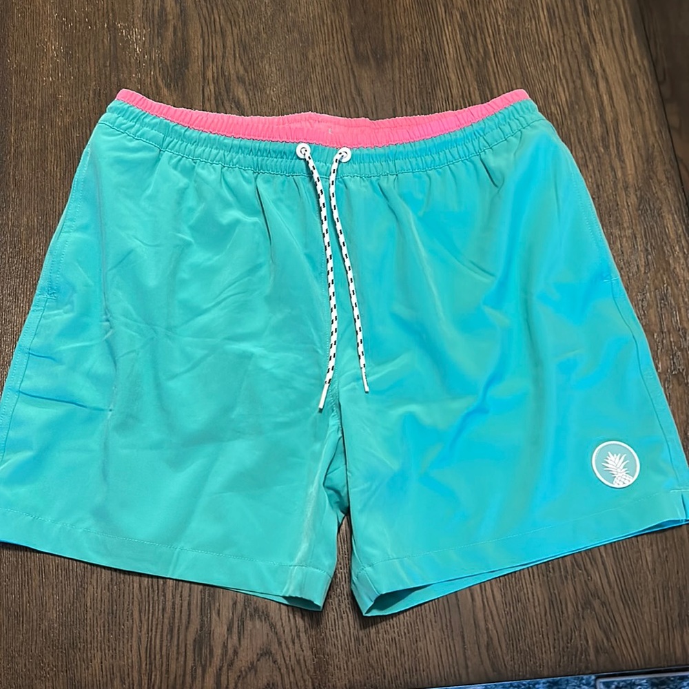Men’s Chubbies Classic Swim Trunk